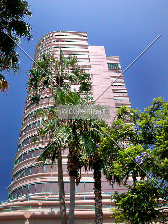 A look up the south face