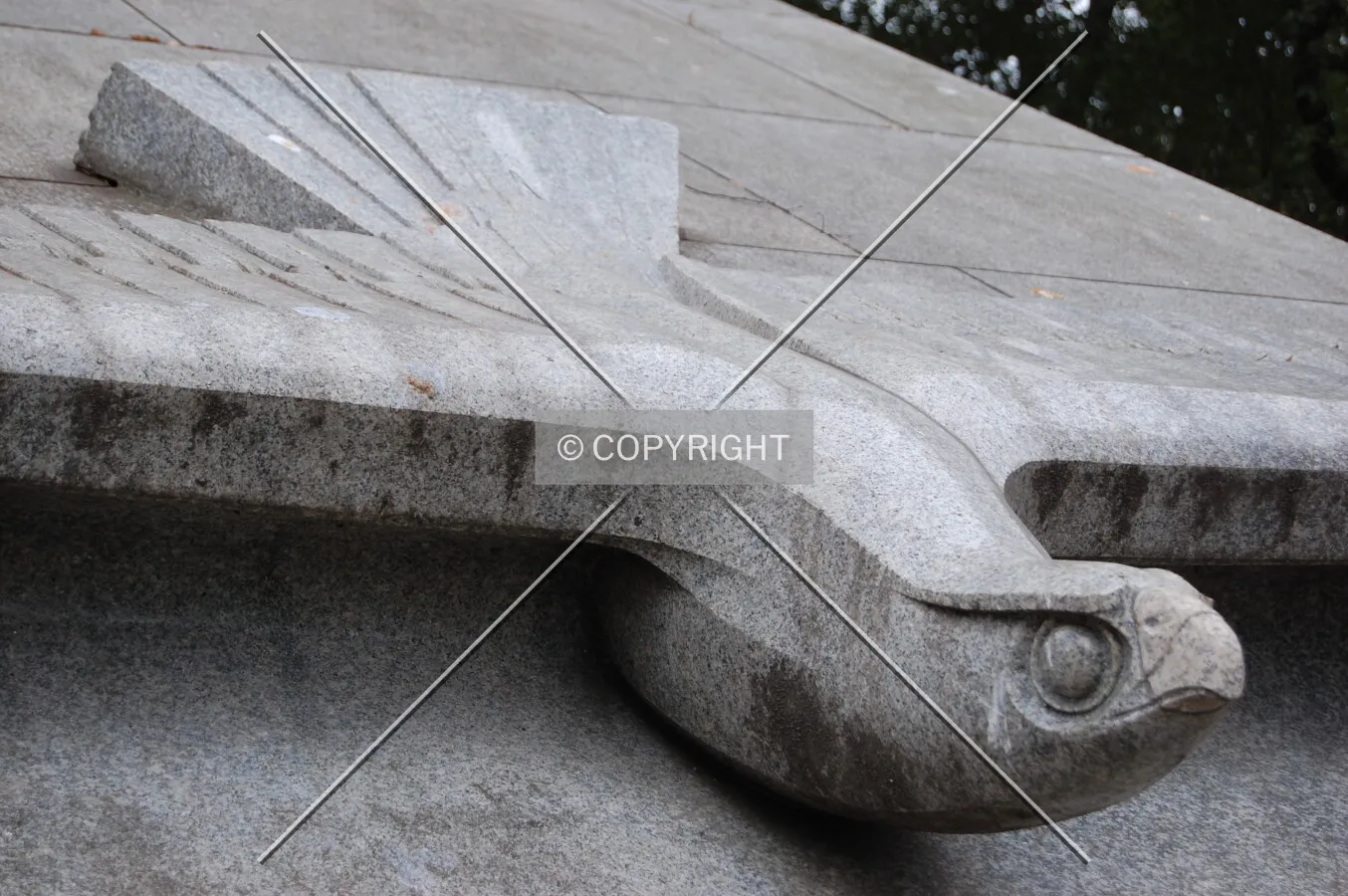 Photo 226-170-726