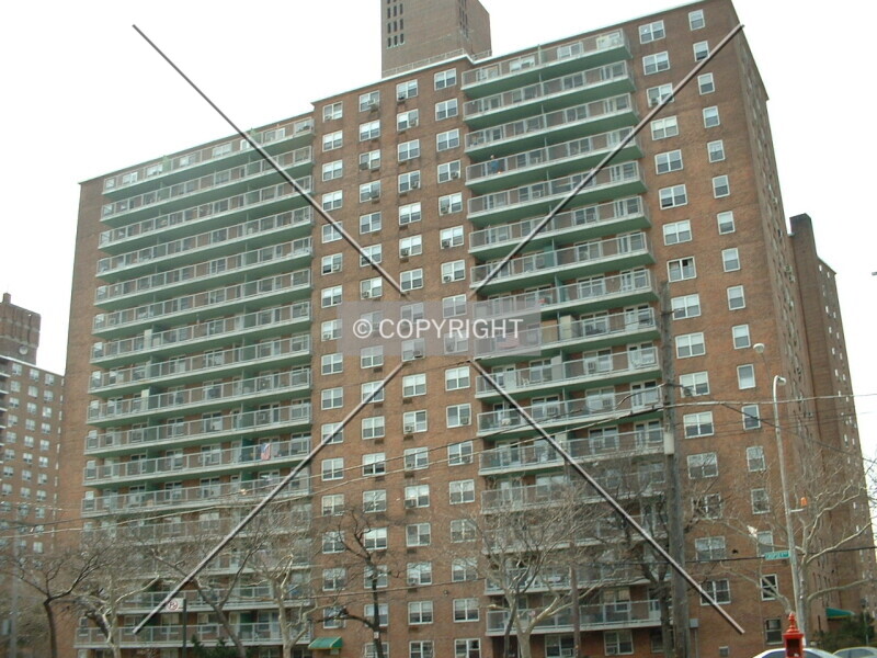Photo 226-707-814