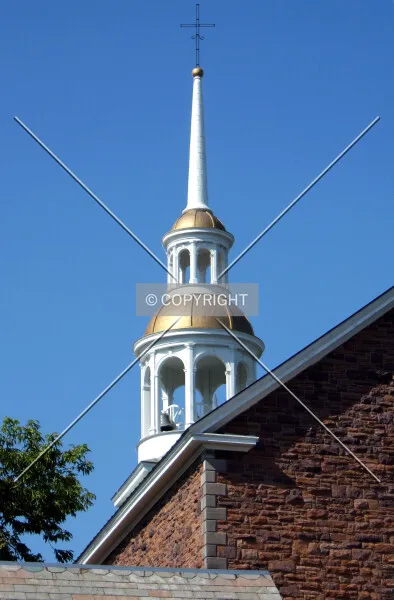Photo 227-009-213