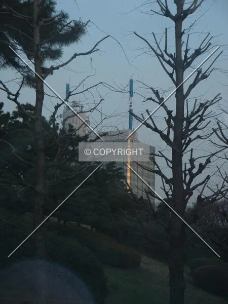 Photo 227-032-089