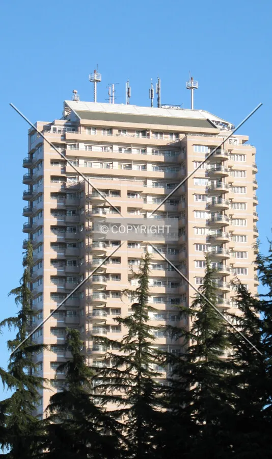 View from the northwest