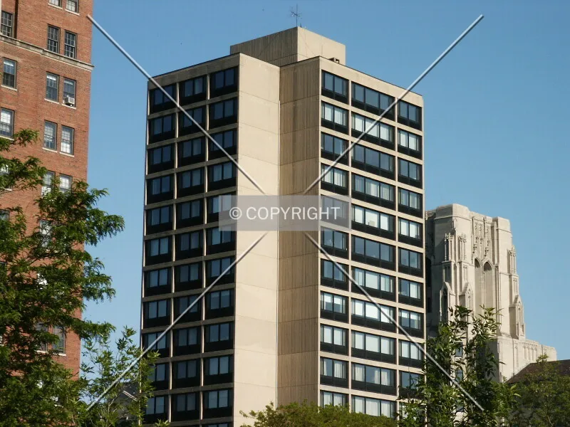Photo 227-072-963