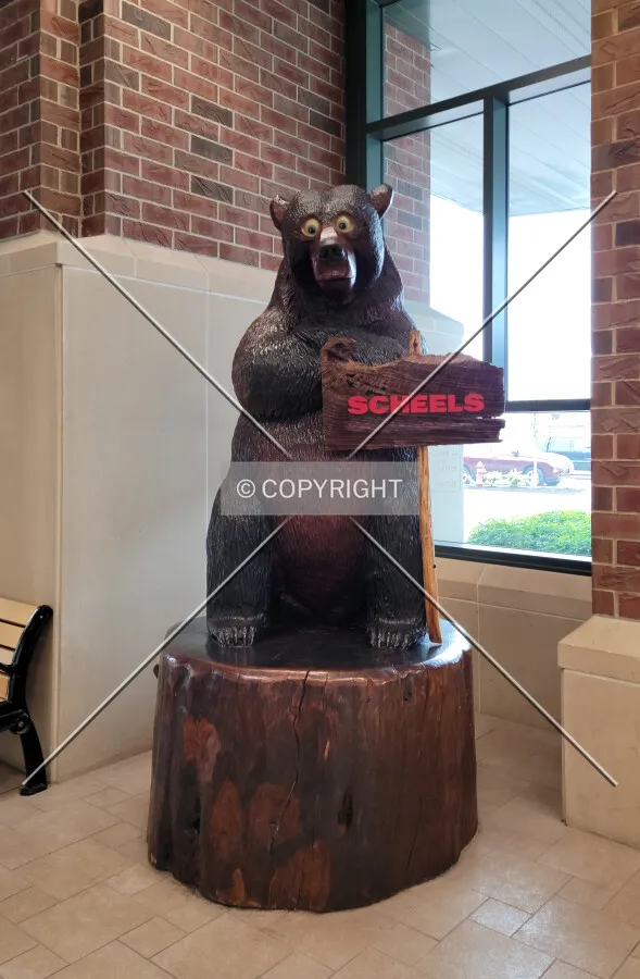 A bear in the entryway; April 23, 2021