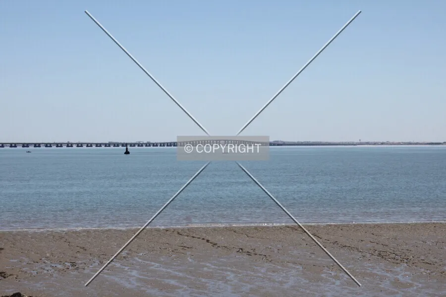 Photo 227-250-993