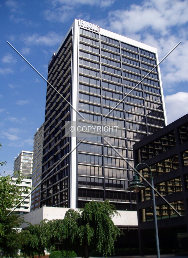 View from the northwest
