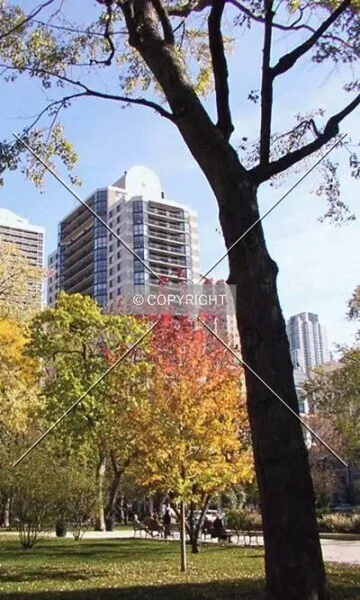 Photo 227-459-947