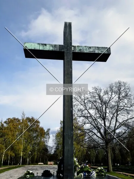 Photo 227-762-863