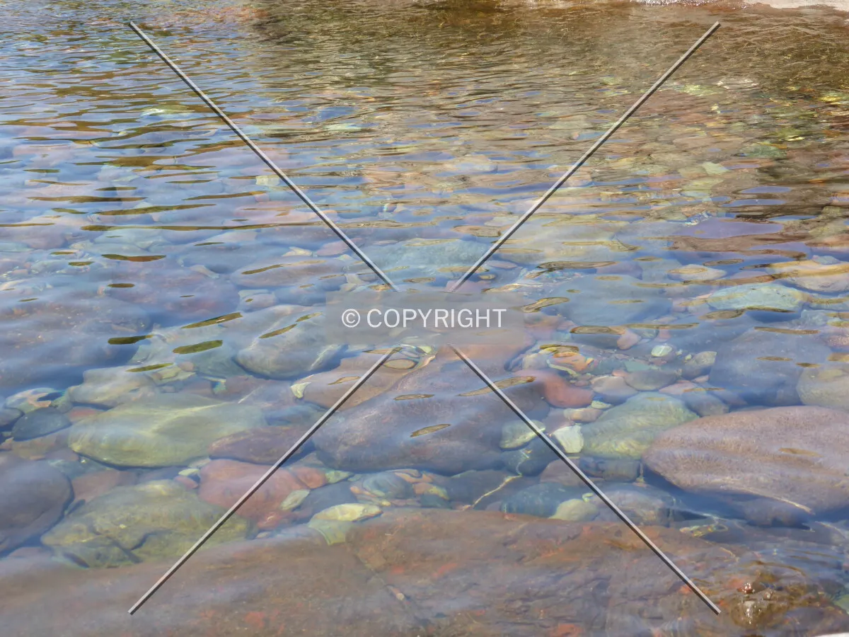 Photo 228-001-295