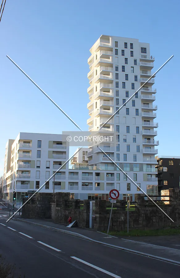 Photo 228-186-323