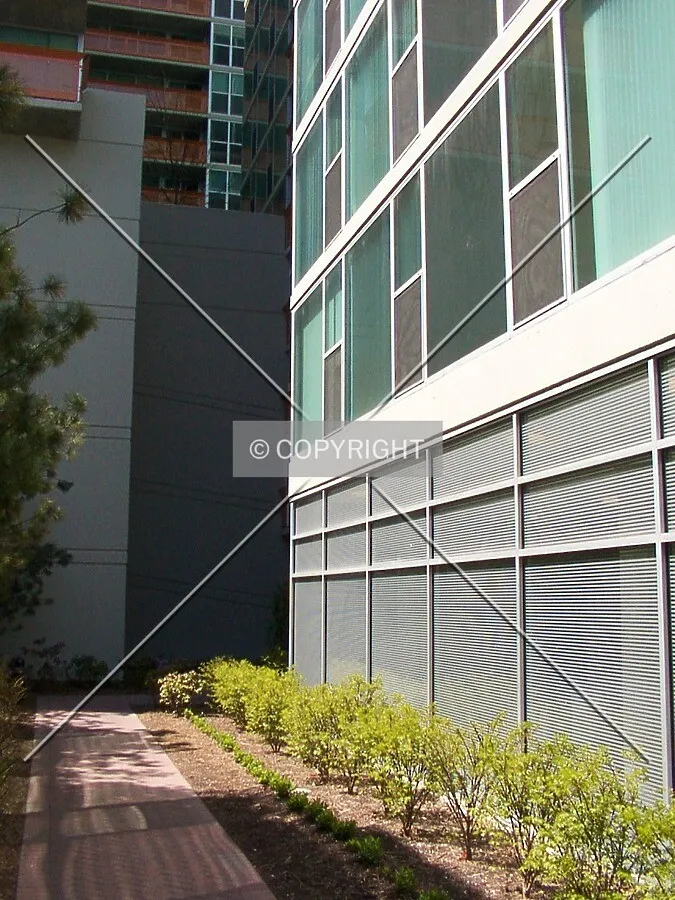 Pathway to the entrance