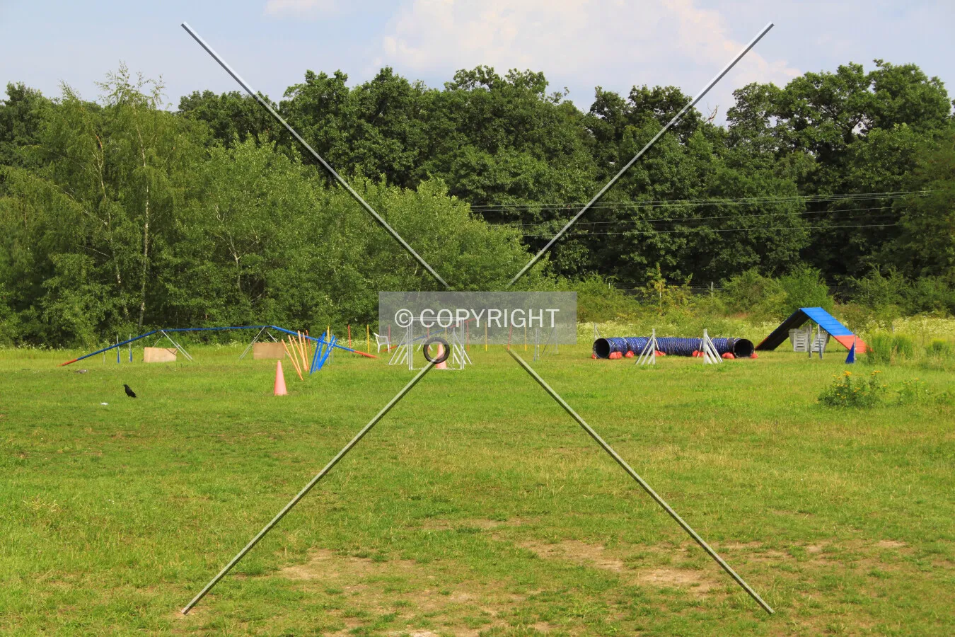 Dog agility center