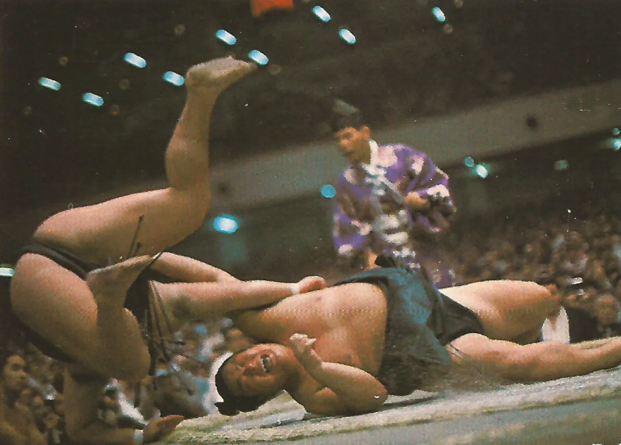 Sumo wrestlers