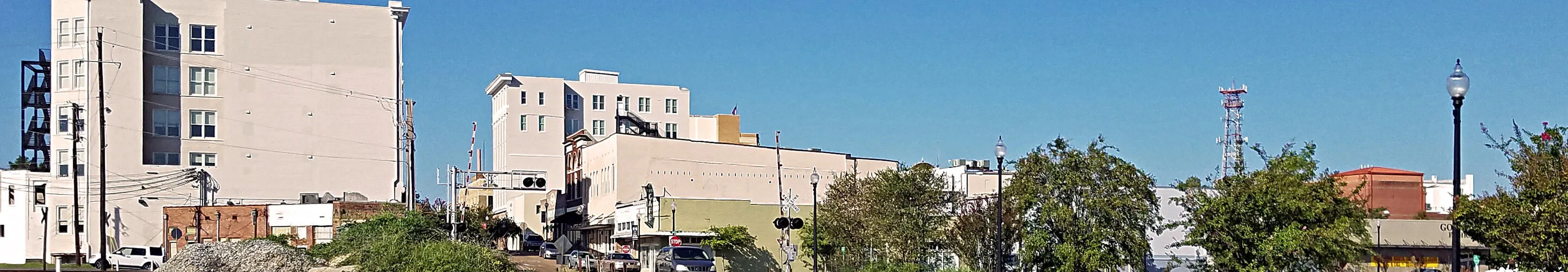 Panorama of Hattiesburg