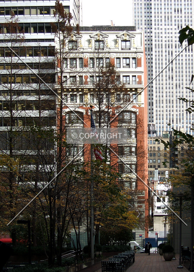 View from the southwest