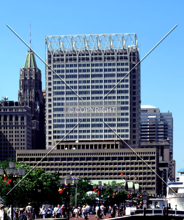 View from the south