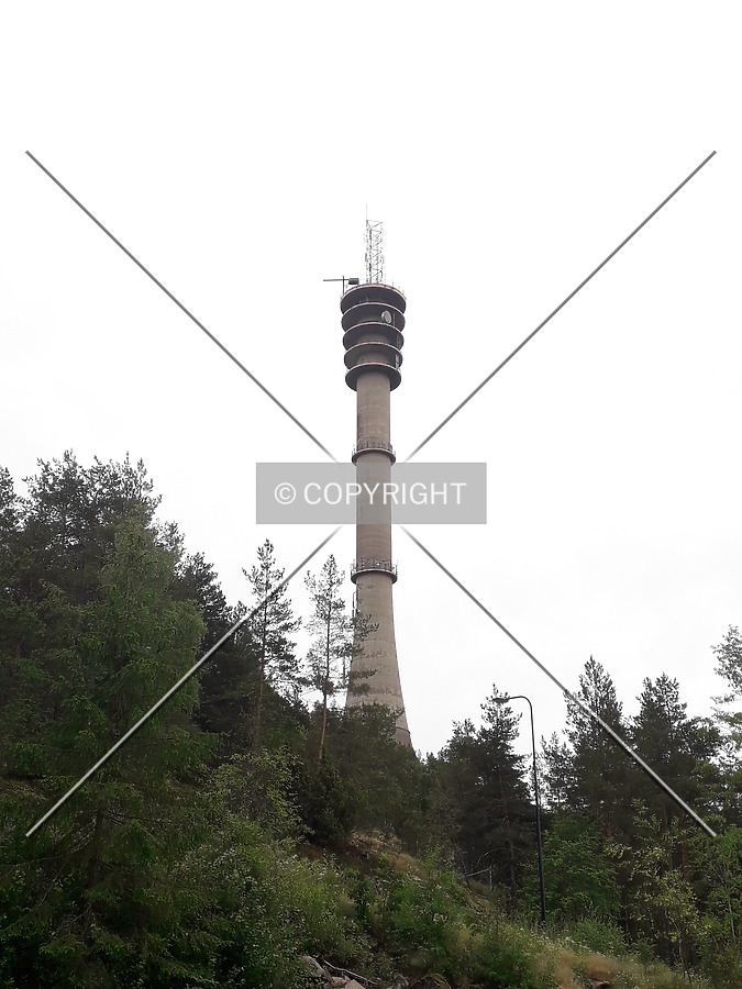 Photo 229-248-123