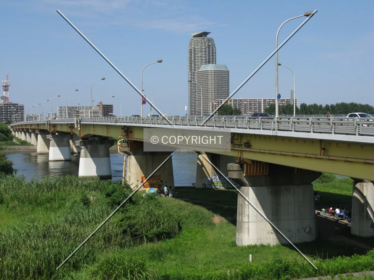 Photo 229-305-403