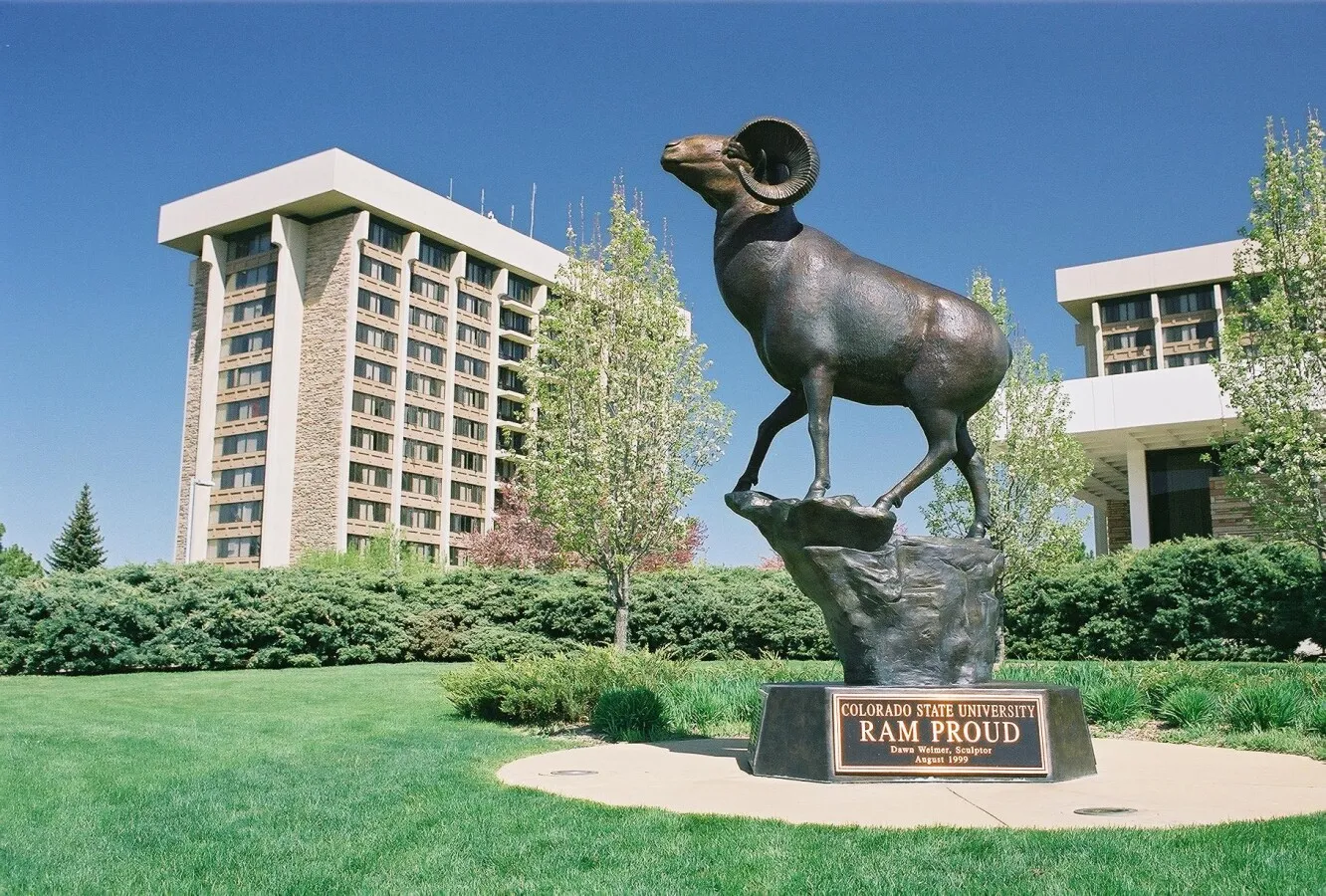 Sculpture on campus