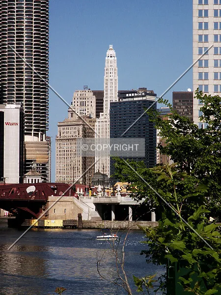 Photo 229-796-395
