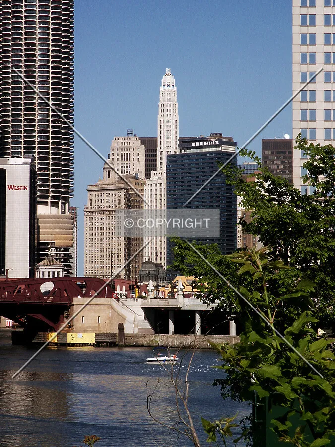 Distant view from the west bank of the Chicago River