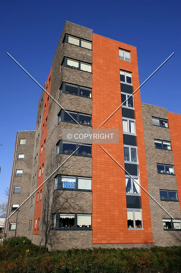 Looking up from Ratelwacht