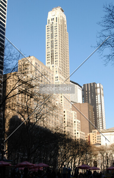Photo 230-510-298