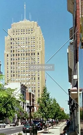 Photo 230-833-610