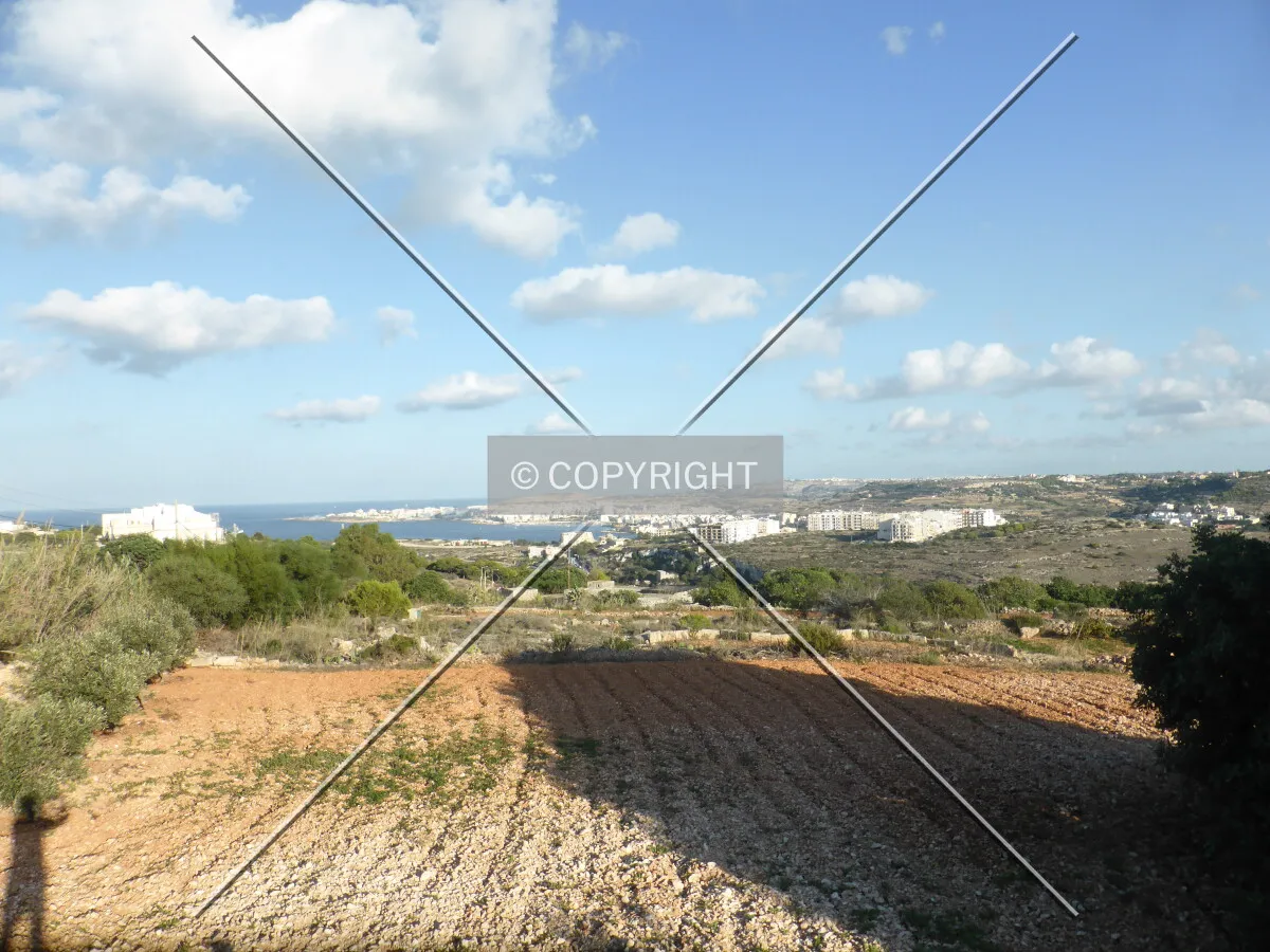 Photo 023-100-998