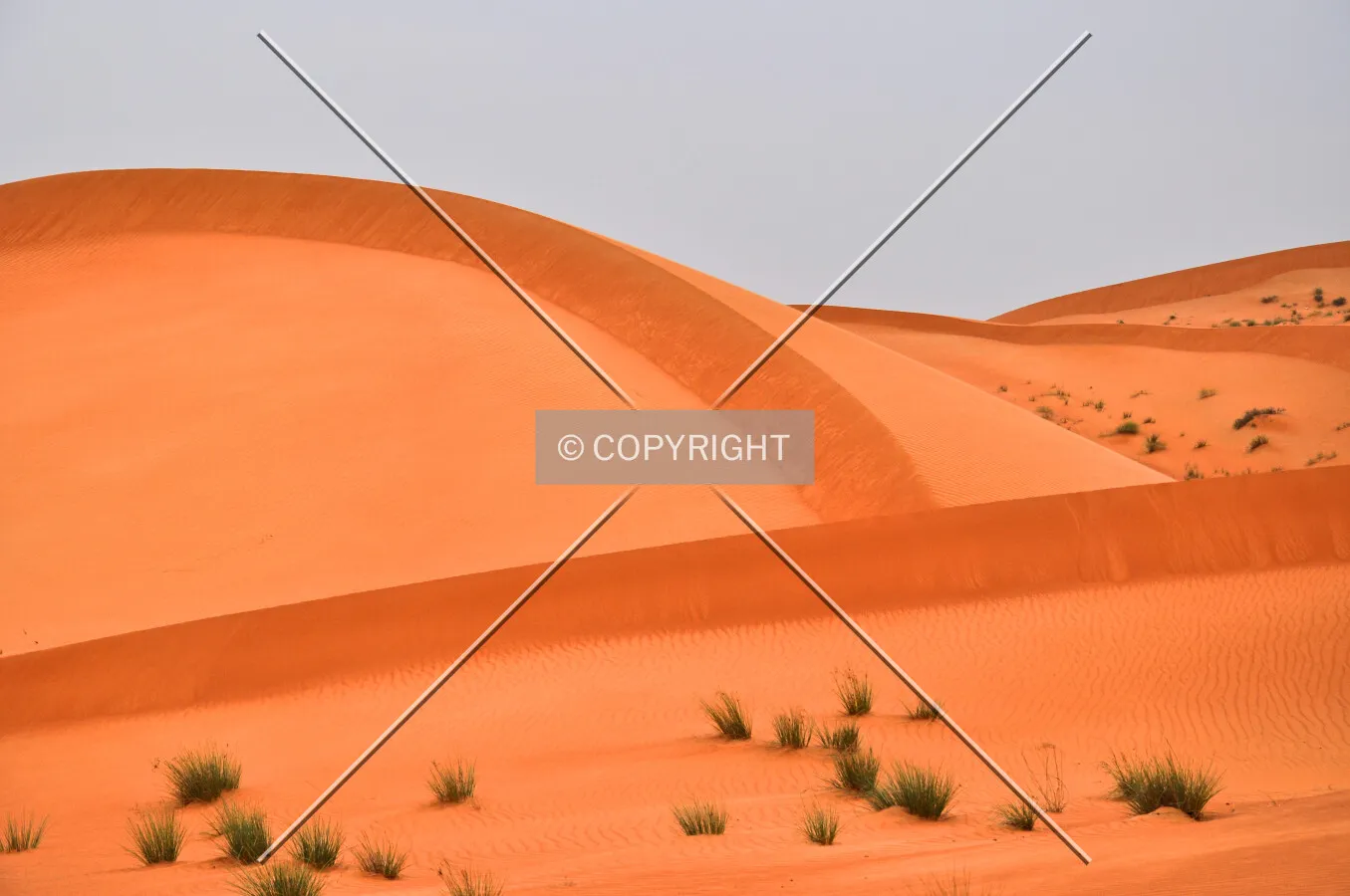 Photo 231-351-083