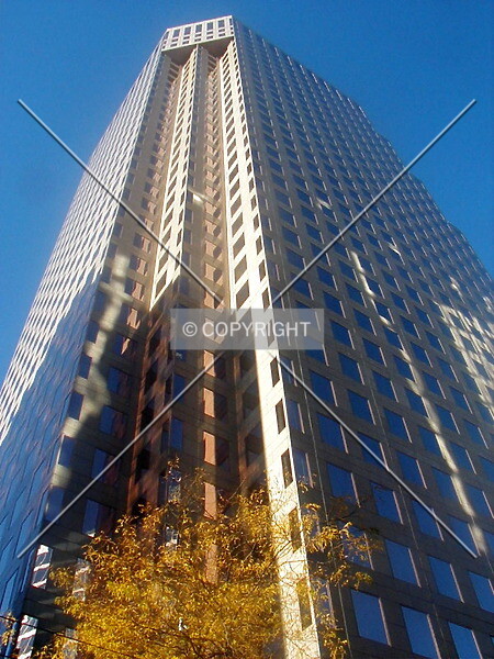 Photo 231-393-177