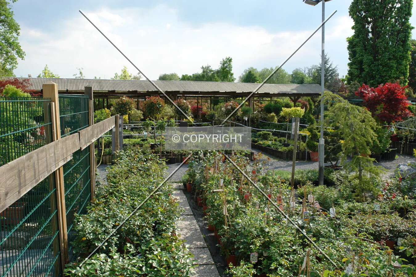 A plant nursery