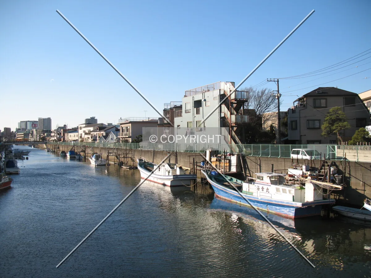 Photo 231-779-185