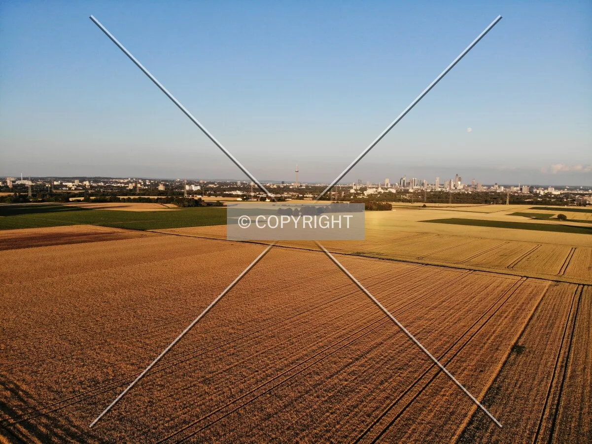 Photo 231-960-083