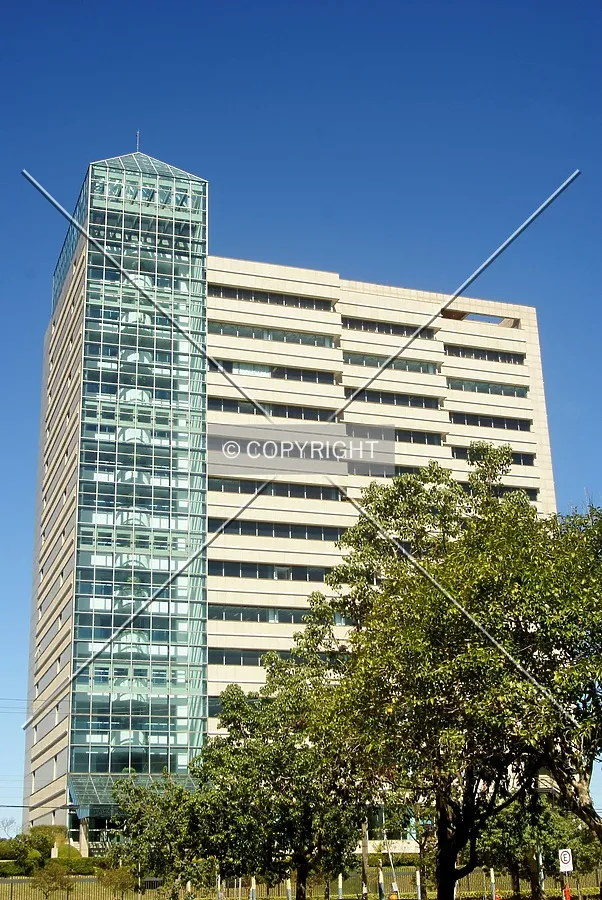 View from Celeste Gobbato Street