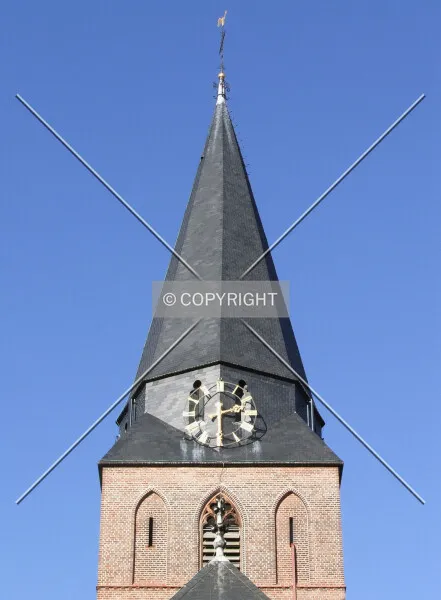 Photo 232-203-310
