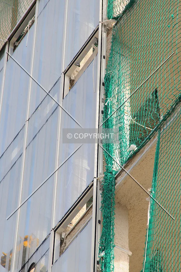 Photo 232-244-107