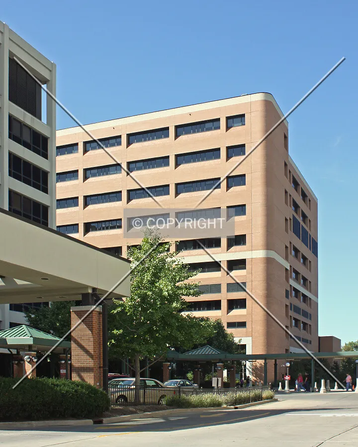 View from the southeast