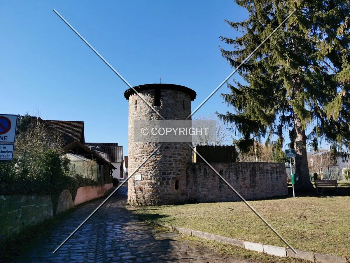 Photo 232-452-249