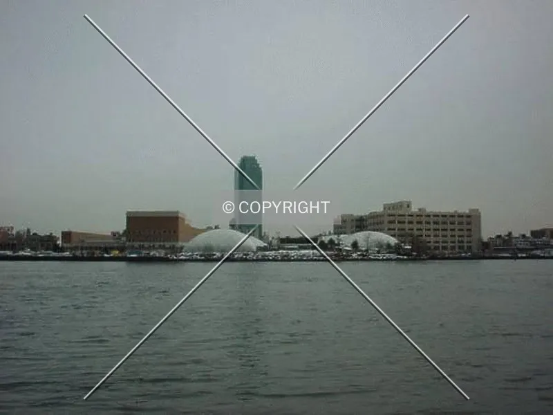 Photo 232-629-690