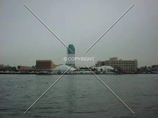 View from the river