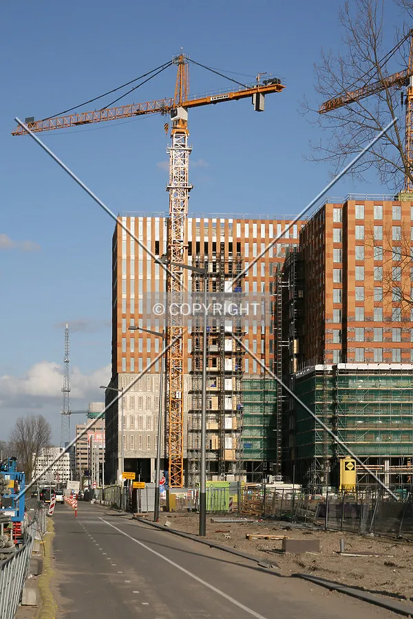 View from the west