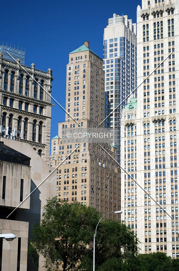 Viewed from the Brooklyn Bridge