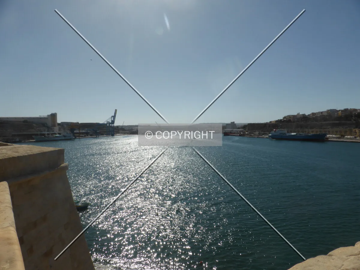 Photo 233-301-745