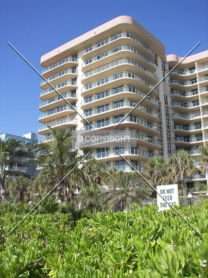 View from the northeast