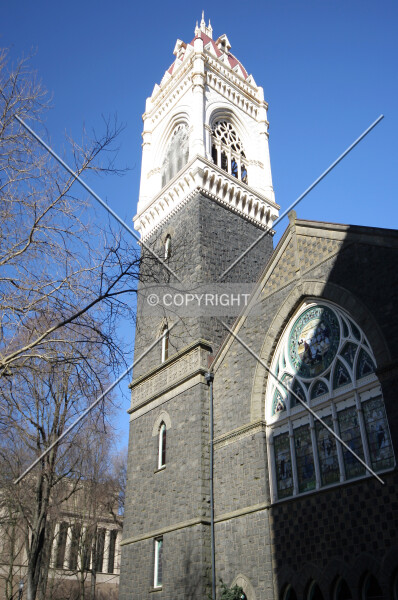Photo 233-444-351