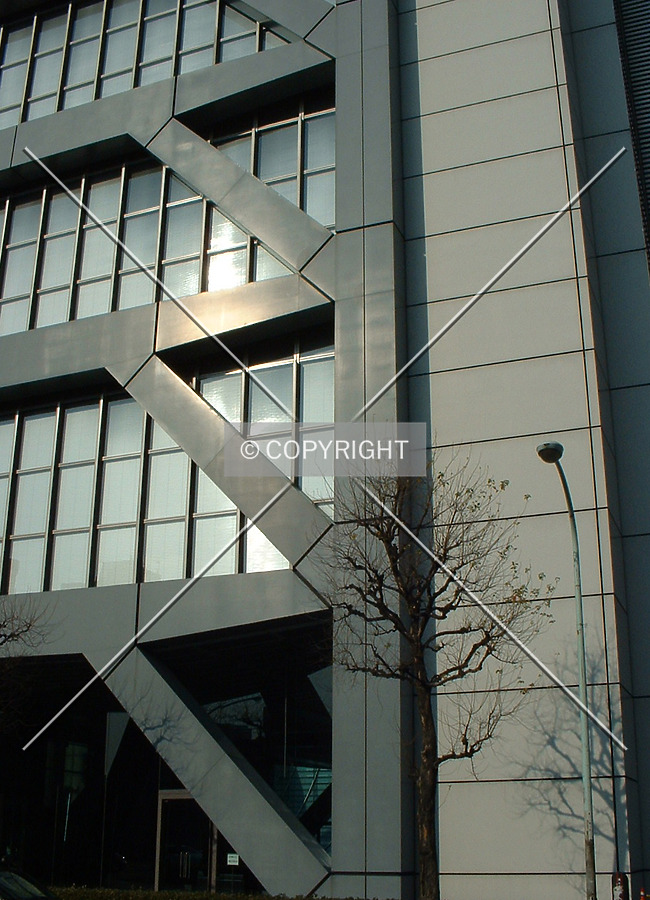 Foliage and window detail
