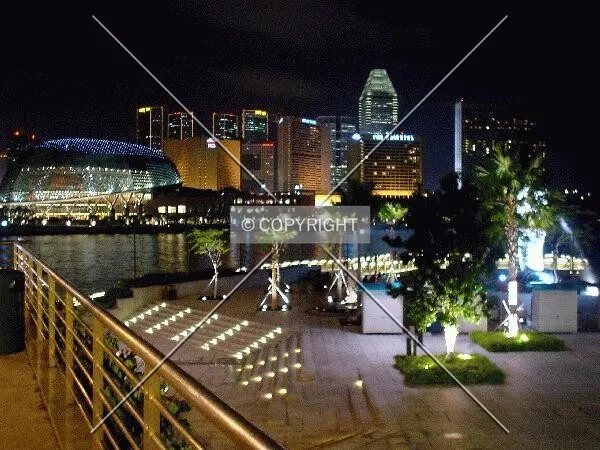 Night view from Esplanade Drive