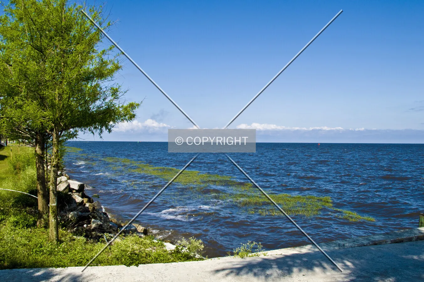 Lake Okeechobee, Florida, U.S.A.