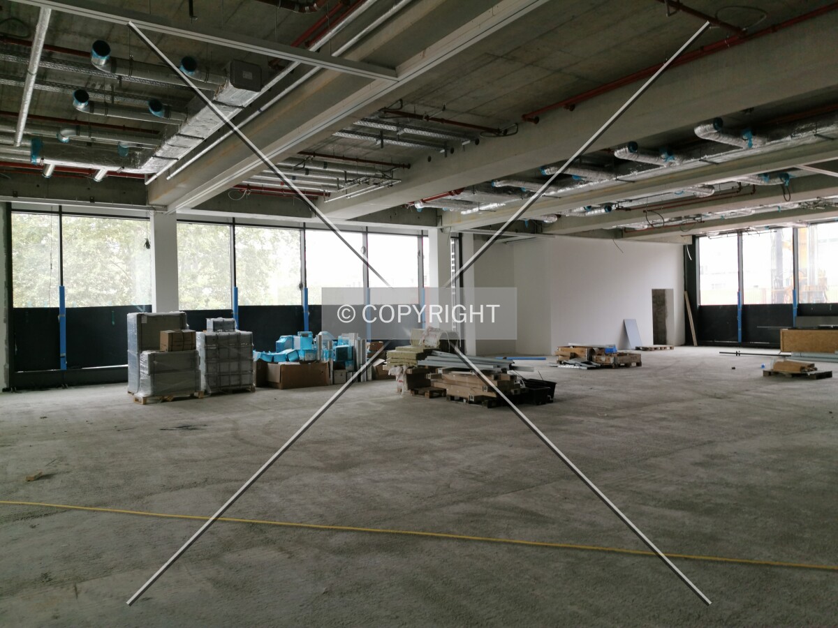 Photo 234-011-564